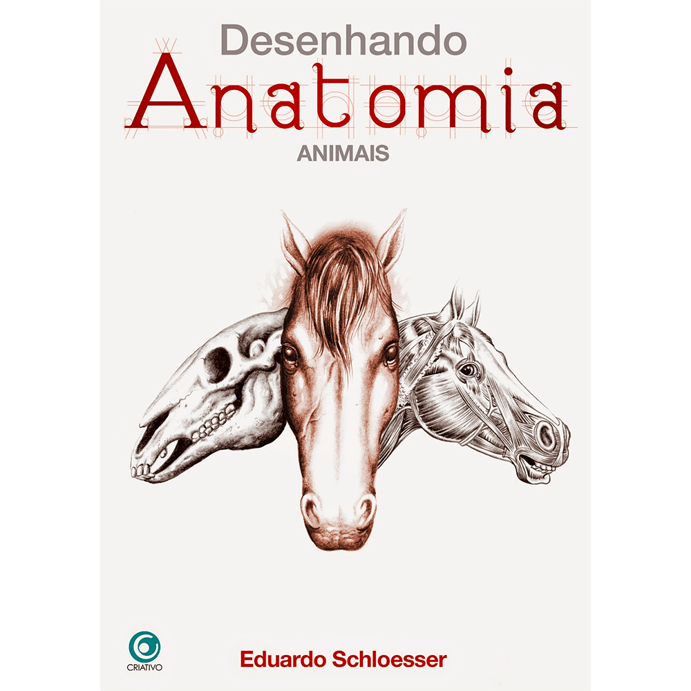 Desenhando Anatomia Animais